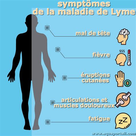 les symptomes de la maladie de lyme